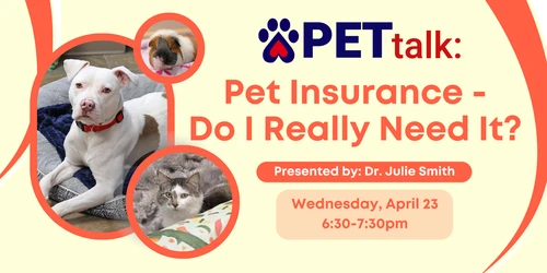 Happy dog with owner in New Mexico landscape